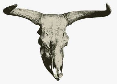 Bison Big Image Png - Steppebison Skull, Transparent Png, Free Download
