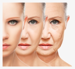 Antioxidant Extends Lifespan - Young And Old Skin, HD Png Download, Free Download