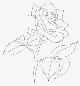 Transparent Rose Outline Png - White Rose Outline Png, Png Download, Free Download
