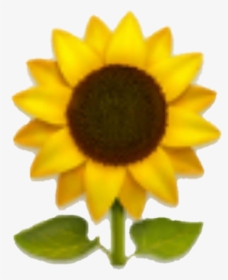 Emoji Sunflower Yellow Yellowflower Flower Clipart, HD Png Download, Free Download