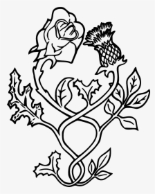 Black Outline Thistle With Rose Tattoo Stencil - Rose And Thistle Vector, HD Png Download, Free Download