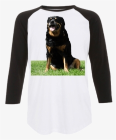 Sitting Rottweiler Baseball Shirt - Greater Swiss Mountain Dog, HD Png Download, Free Download