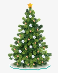 Vector Christmas Tree Png, Transparent Png, Free Download