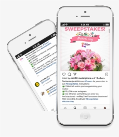 Instagram Giveaway - Sorteo En Redes Sociales, HD Png Download, Free Download