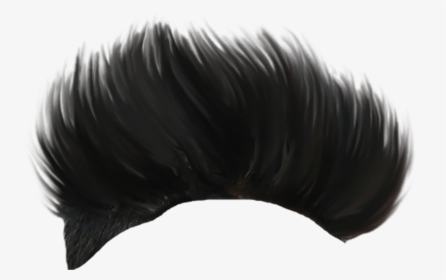 Black Hair Png Man, Transparent Png, Free Download