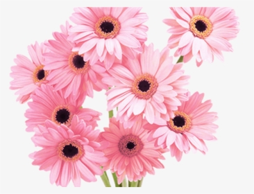 Flowers Pink Tumblr Vaporwave Aesthetic - Most Beautiful Flowers Png, Transparent Png, Free Download