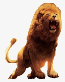 #lion #roar #jesusisking #freetoedit - 854 * 480 Hd, HD Png Download, Free Download