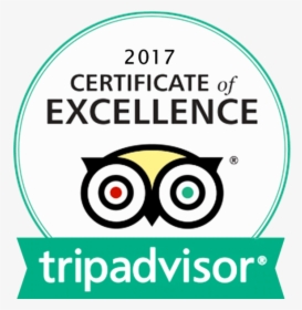 Tripadvisor Certificate Of Excellence 2019 Logo, HD Png Download, Free Download
