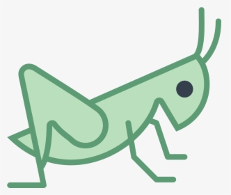 Grasshopper Vector Head - Crickets Insects Icon Png, Transparent Png, Free Download