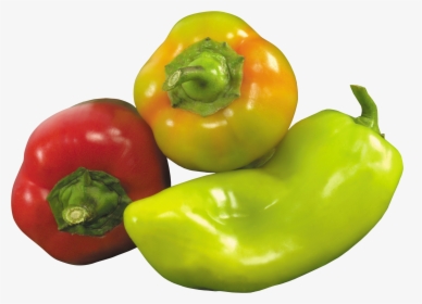 Pepper Png Image, Transparent Png, Free Download