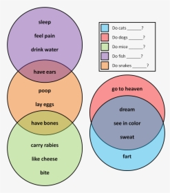 Snake And Worm Venn Diagram, HD Png Download, Free Download