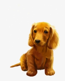 Kajenna Boo 7 - Companion Dog, HD Png Download, Free Download