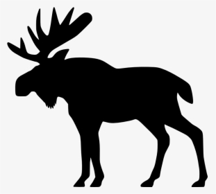 Moose, Elk Png - Moose Clipart, Transparent Png, Free Download
