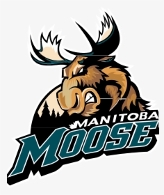 Manitoba Moose Logo, HD Png Download, Free Download
