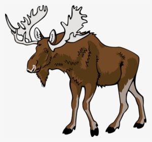 Moose Png Clipart - Cartoon Moose, Transparent Png, Free Download