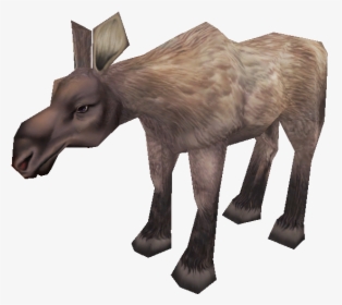 Burro, HD Png Download, Free Download