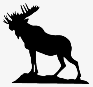 Moose Clipart Loyal Order - Moose Lodge Logo, HD Png Download, Free Download