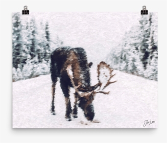 Moose , Png Download - Moose In Snow, Transparent Png, Free Download