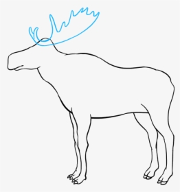 Transparent Moose Head Png - Line Art, Png Download, Free Download