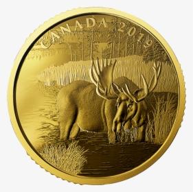 Gold Coin Canada 2019, HD Png Download, Free Download