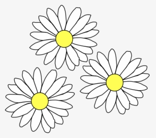 Transparent Background Daisy Clip Art, HD Png Download, Free Download