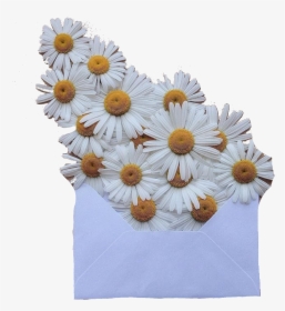 Transparent White Envelope Png - Transparent Aesthetic Vintage Png, Png Download, Free Download