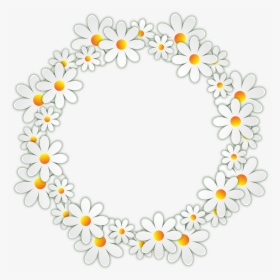 Free Image On Pixabay - Transparent Background Daisy Png, Png Download, Free Download