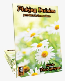 Music By Travis Lohmann"  Title="picking Daisies - Chamomile, HD Png Download, Free Download