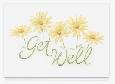 Get Well Cards, HD Png Download, Free Download
