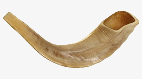 Shofar Horn Png Image - Shofar Transparent Background, Png Download, Free Download