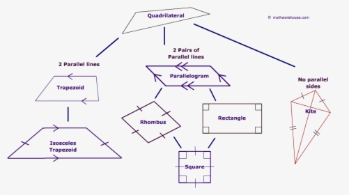 Transparent Parallelogram Png - Types Of Quadrilateral Diagram, Png Download, Free Download