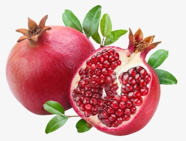Pomegranate Png Image - Pomegranate Png, Transparent Png, Free Download