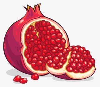 Pomegranate Png Image - Pomegranate Clipart, Transparent Png, Free Download
