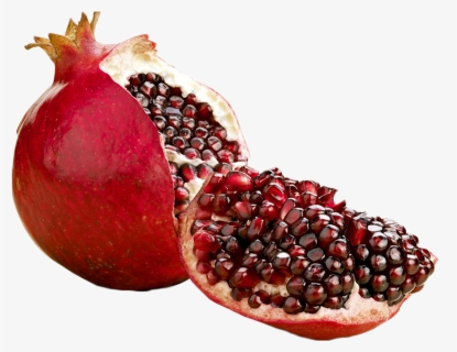 Transparent Pomegranate Clipart - No Pomegranates, HD Png Download, Free Download