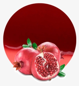 Pomegrante Png, Transparent Png, Free Download