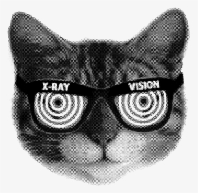 Cat Head X Ray Vision Kitten Kitty Furball Funny Humor - X Ray Vision Gif, HD Png Download, Free Download