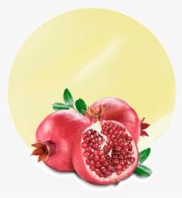 Dalimb Hd Images Download, HD Png Download, Free Download