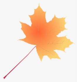 Plant,leaf,tree - Maple Leaf, HD Png Download, Free Download
