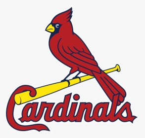 Stl Cardinals Logo Png, Transparent Png, Free Download