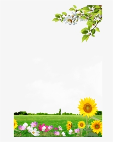 Clip Art Scenery Background - Best Type Of Bluebird Feeder, HD Png Download, Free Download