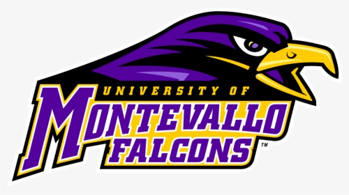 Seventeen Falcons Playing In Collegiate Summer Leagues - University Of Montevallo Falcons, HD Png Download, Free Download