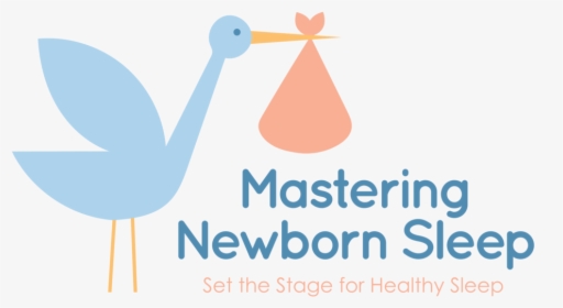 Mastering Newborn Sleep Logo With Tag - Raspberry Pi, HD Png Download, Free Download