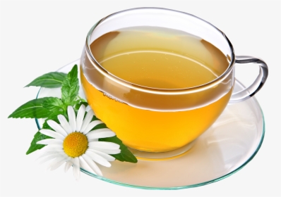 Transparent Green Tea Clipart - Chamomile Tea Png, Png Download, Free Download