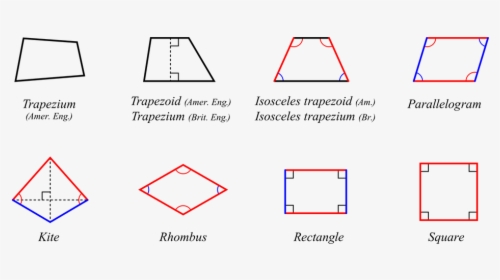 Picture - Quadrilaterals, HD Png Download - kindpng