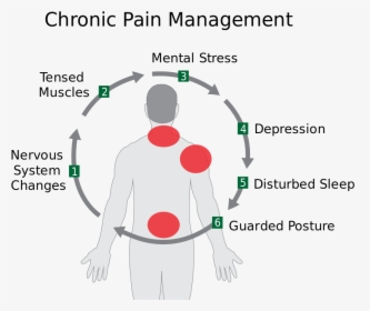 Stress Chronic Pain, HD Png Download, Free Download