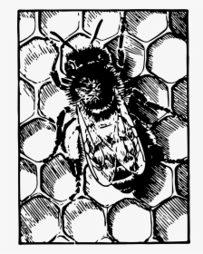 Honeybee On Comb Clip Arts - Bee And Comb Clip Art, HD Png Download, Free Download