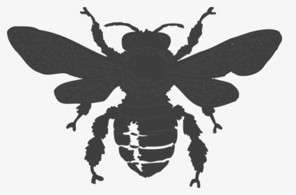 Bee, Beehive, Honey, Nature, Dark, Gray, Insect, Wasp - Honey Bee Silhouette Png, Transparent Png, Free Download