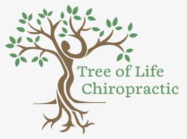 Chiropractic Tree Logo, HD Png Download, Free Download