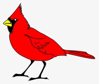 Cardinal, Bird, Animal, Red - State Bird For North Carolina, HD Png Download, Free Download