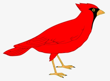 Northern Cardinal St - Clip Art Cardinal, HD Png Download, Free Download